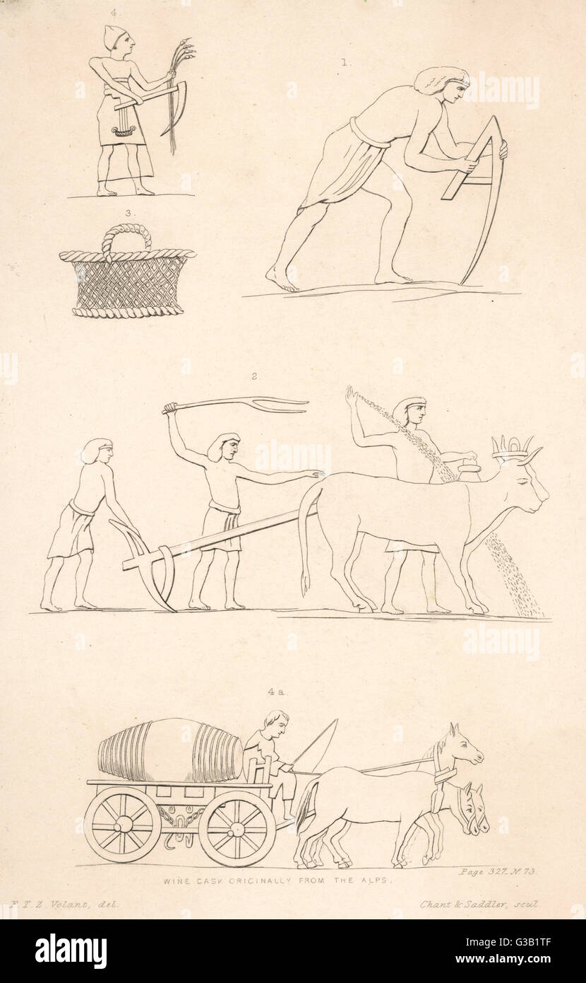 ALTE ÄGYPTISCHE LANDWIRTSCHAFT Stockfoto