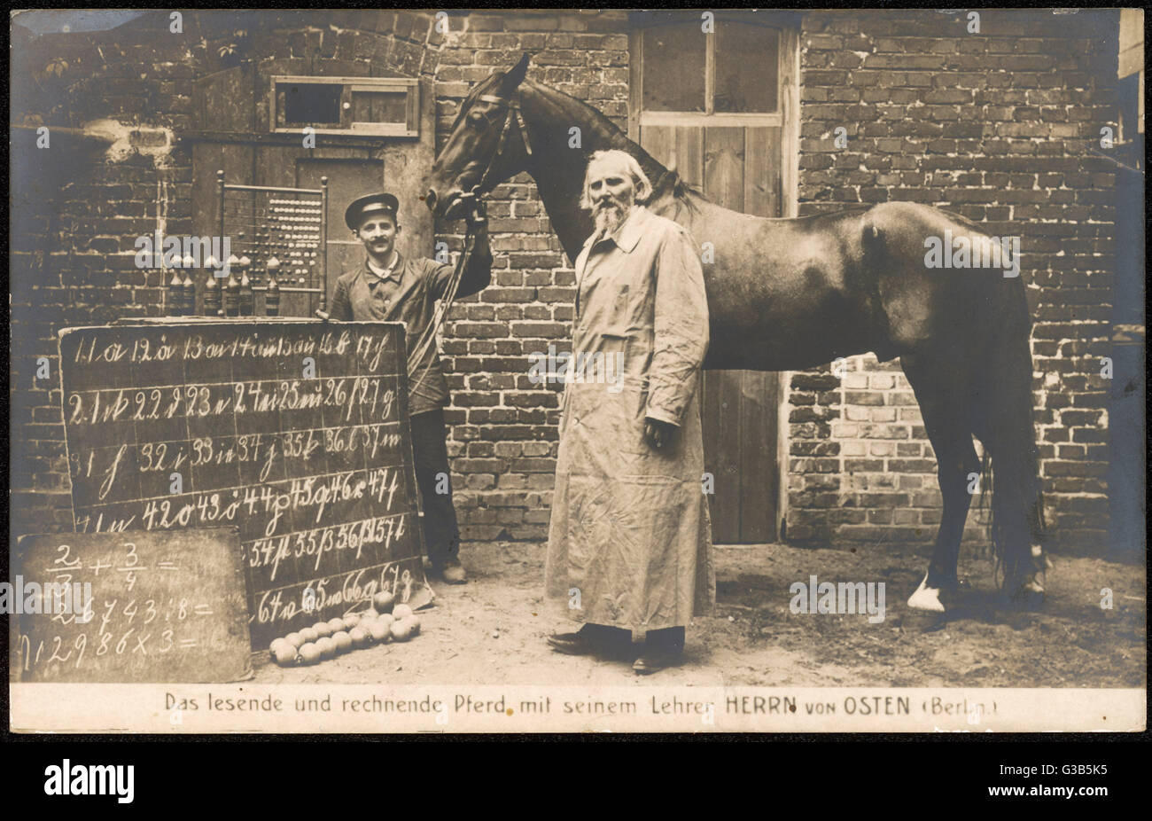 "Hans" ein Pferd der einzigartigen mathematischen Fähigkeit, mit seinem Führer und seinem Lehrer Wilhelm von Osten, wer überzeugt war, dass Tiere eine Intelligenz gleich Menschen besessen.     Datum: 1904 Stockfoto