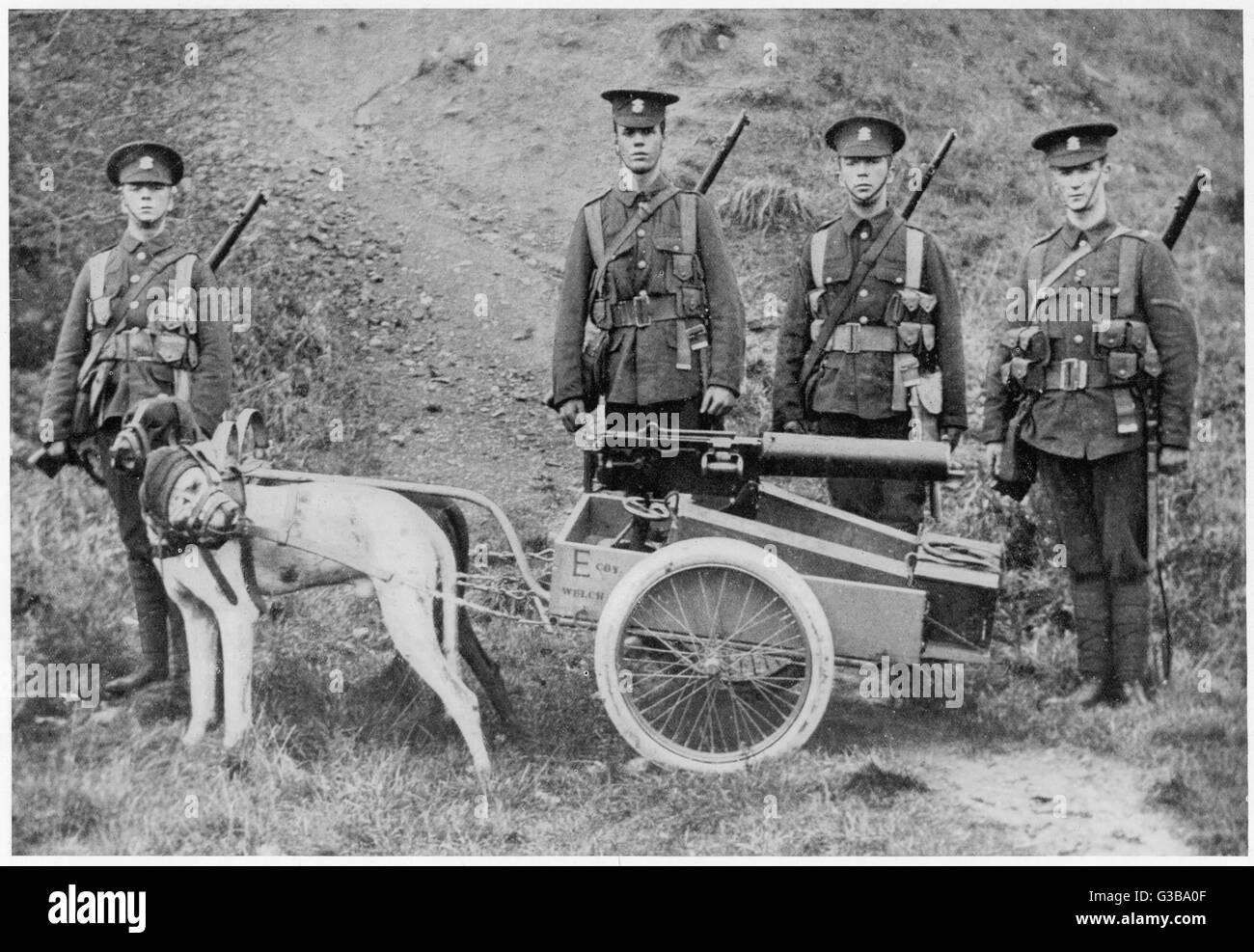 Britsh Dogs of war - 1915 Stockfoto