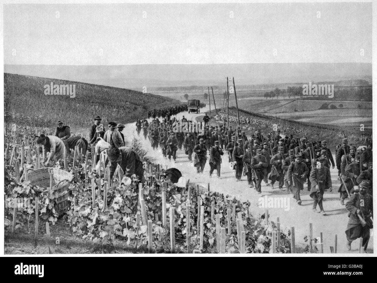 Nach dem halten des deutschen Vormarsch an der Marne, vorwärts französische Truppen durch Champagner Felder - wo der Jahrgang geerntet wird, Krieg oder nicht Krieg!     Datum: September 1914 Stockfoto