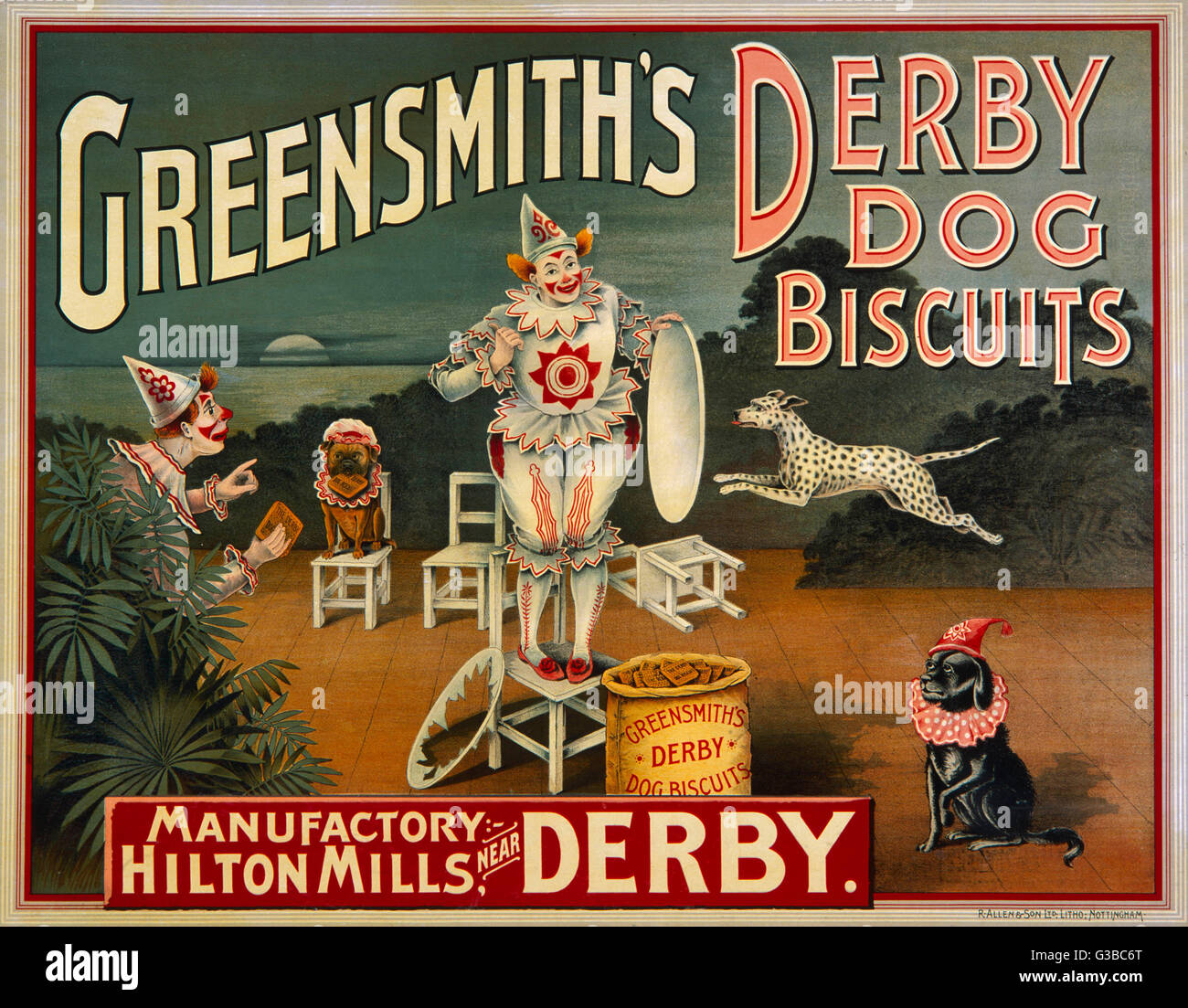 Zirkus Hunde Werbung Greensmith Derby Hundekuchen.       Datum: um 1890 Stockfoto