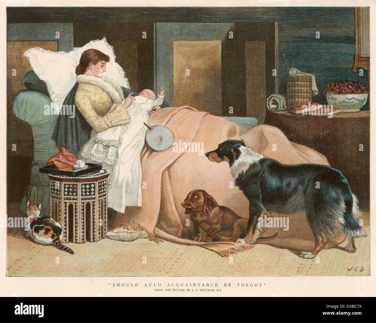 BABY/VERNACHLÄSSIGTE HAUSTIERE 1888 Stockfoto