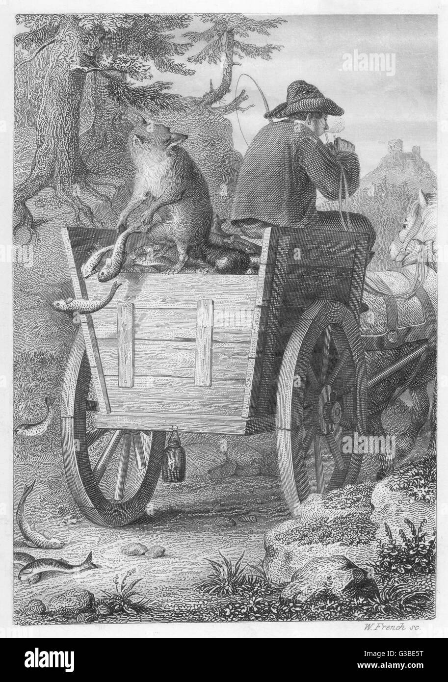 REINECKE FUCHS/GOETHE Stockfoto