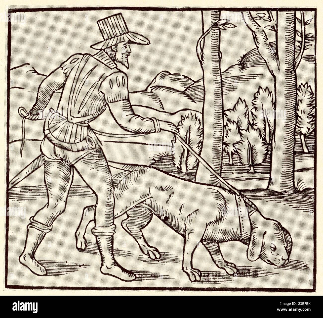 Eine frühe Bloodhound nimmt den Weg hinauf.         Datum: ca. 17. Jahrhundert Stockfoto