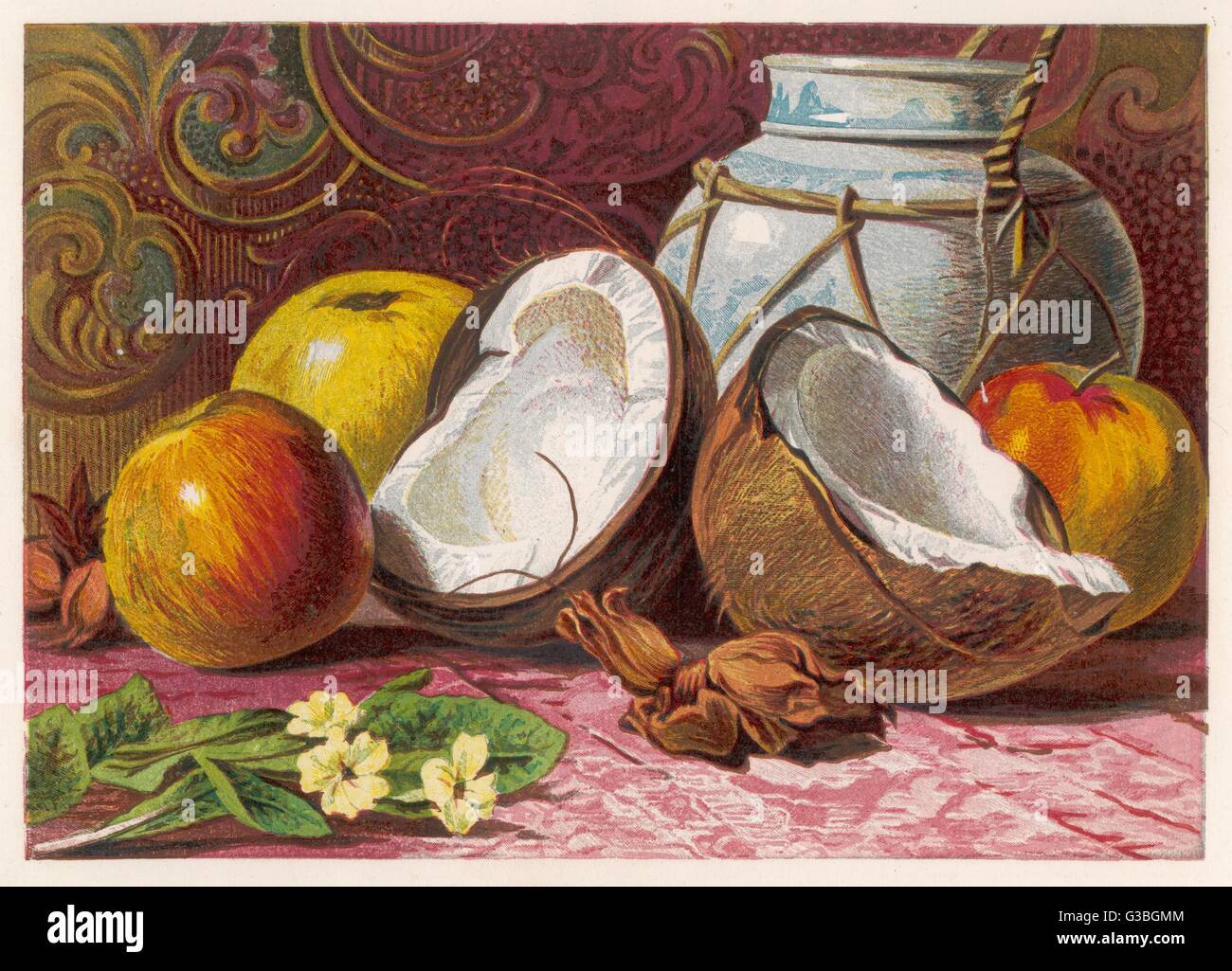 KOKOSNÜSSE UND ANDERE FRÜCHTE Stockfoto