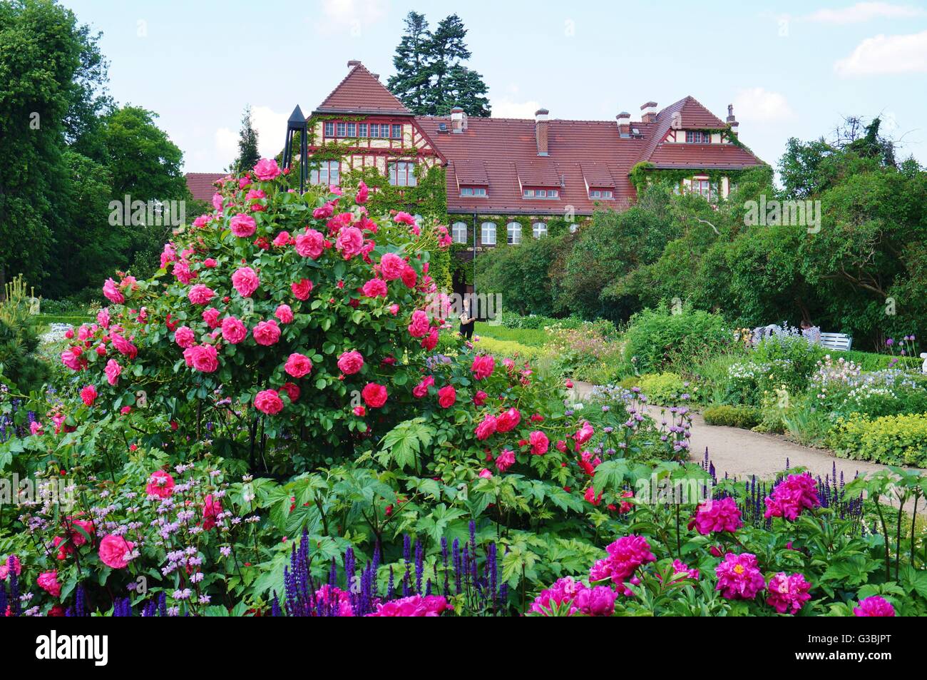 Berlin Dahlem Botanischer Garten (botanischen Garten) Stockfoto