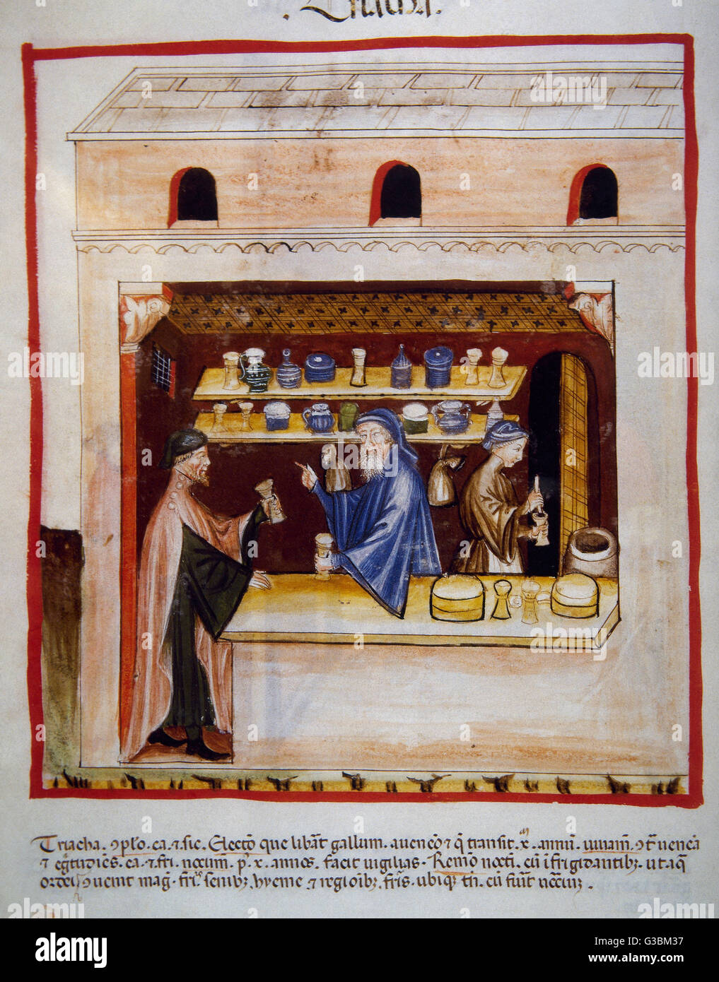 Tacuinum Sanitatis. 14. Jahrhundert. Mittelalterliche Handbuch der Gesundheit. Thiriaque. Folio 53v. Stockfoto