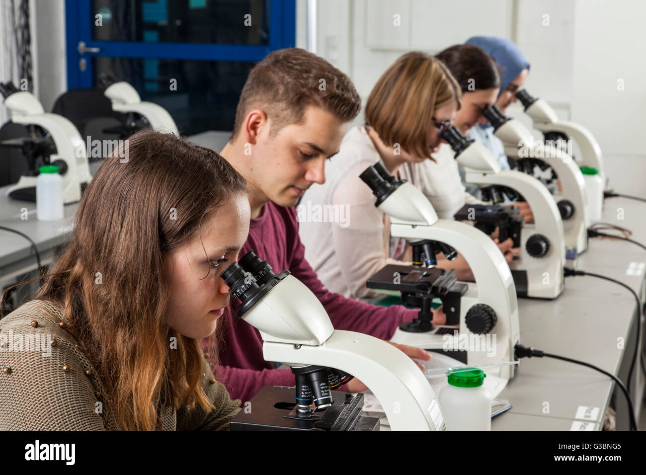 Studenten in einem Mikroskopie-Kurs an der Universität DUE Stockfoto