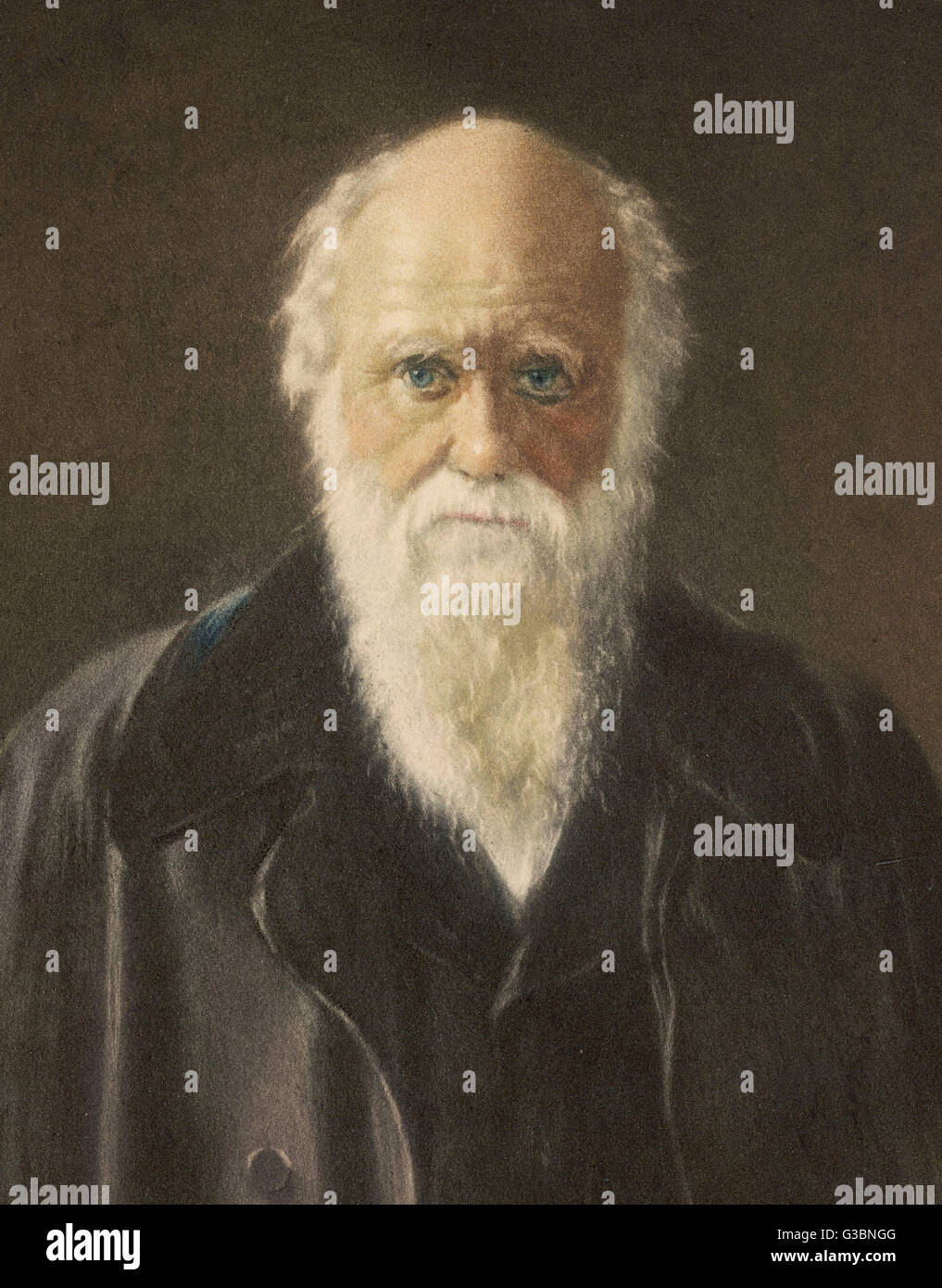 CHARLES DARWIN (1809-1882) gegen Ende seines Lebens Stockfoto