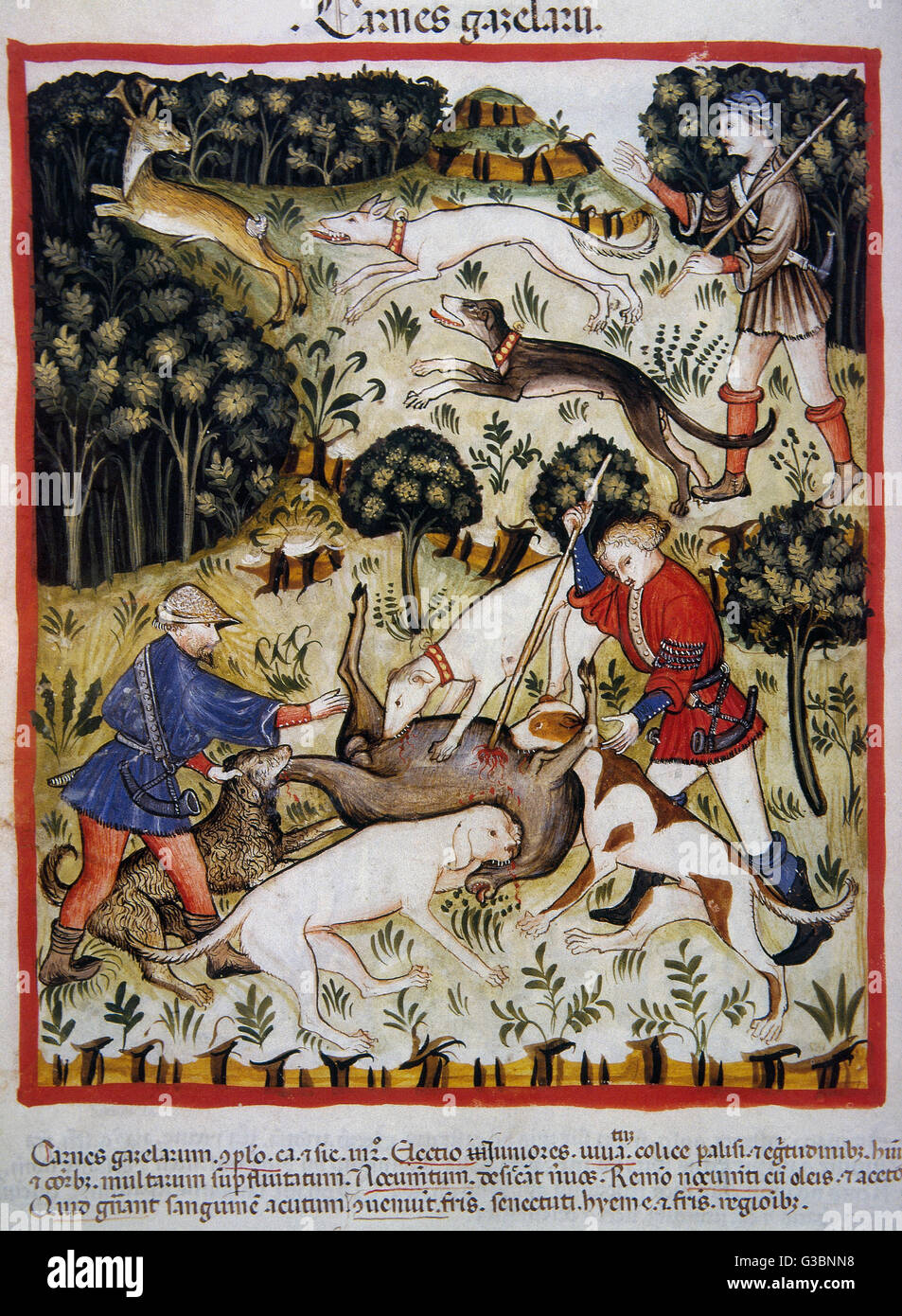 Tacuinum Sanitatis. 14. Jahrhundert. Mittelalterliche Handbuch der Gesundheit. Gazelle Fleisch. Auf die Jagd. Folio 71v. Stockfoto
