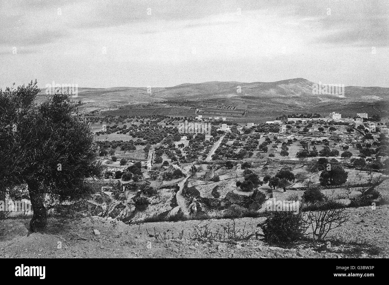 Feld der Hirten, Bethlehem Stockfoto