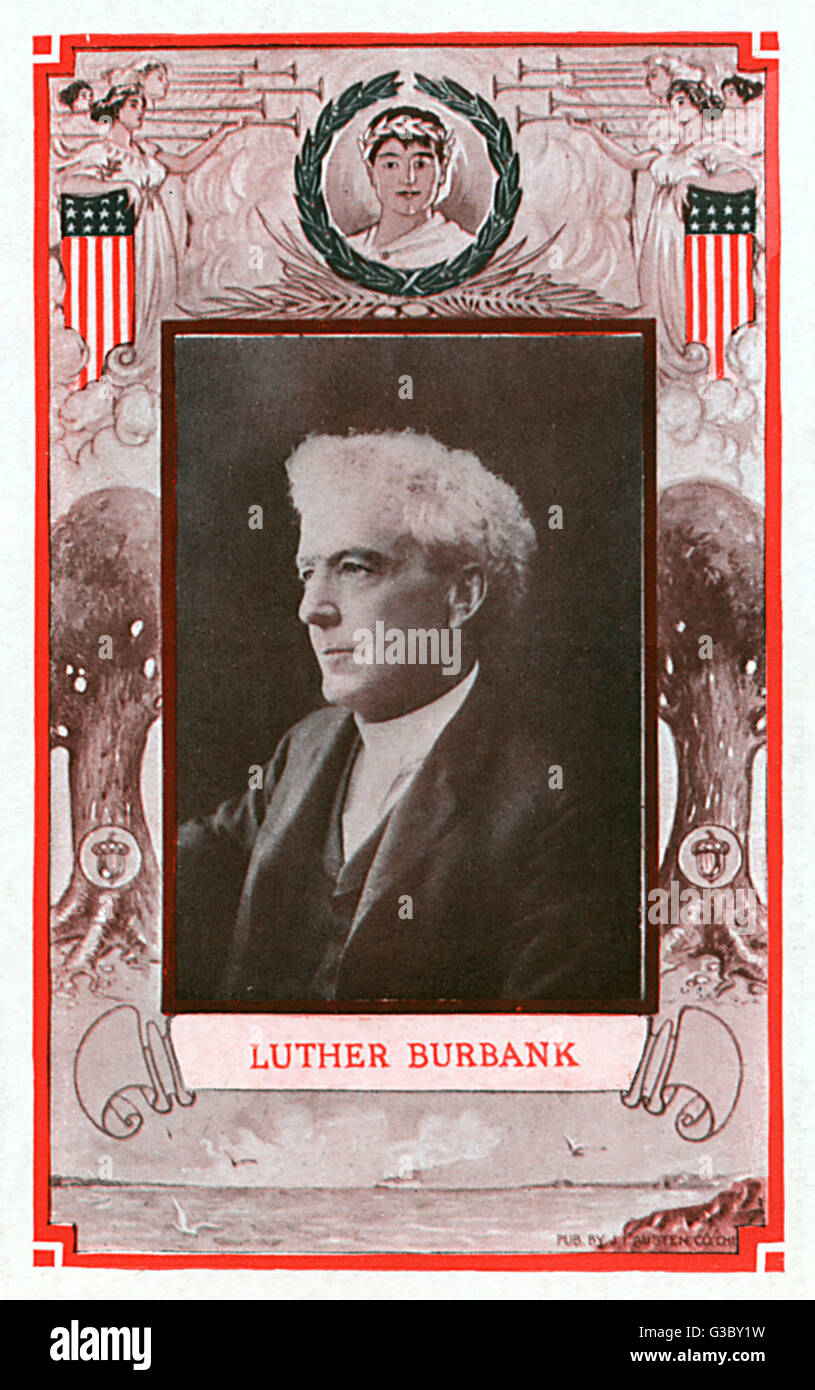 Luther Burbank - amerikanischer Botaniker und Gartenbauer Stockfoto