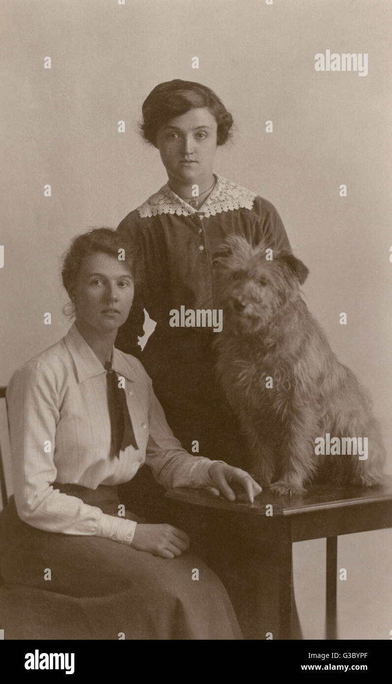 Frauen mit Hund Stockfoto