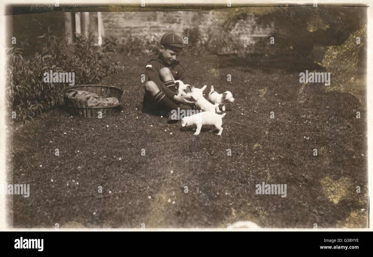 Ein Junge in Junggesellenuniform mit Jack Russell Welpen Stockfoto