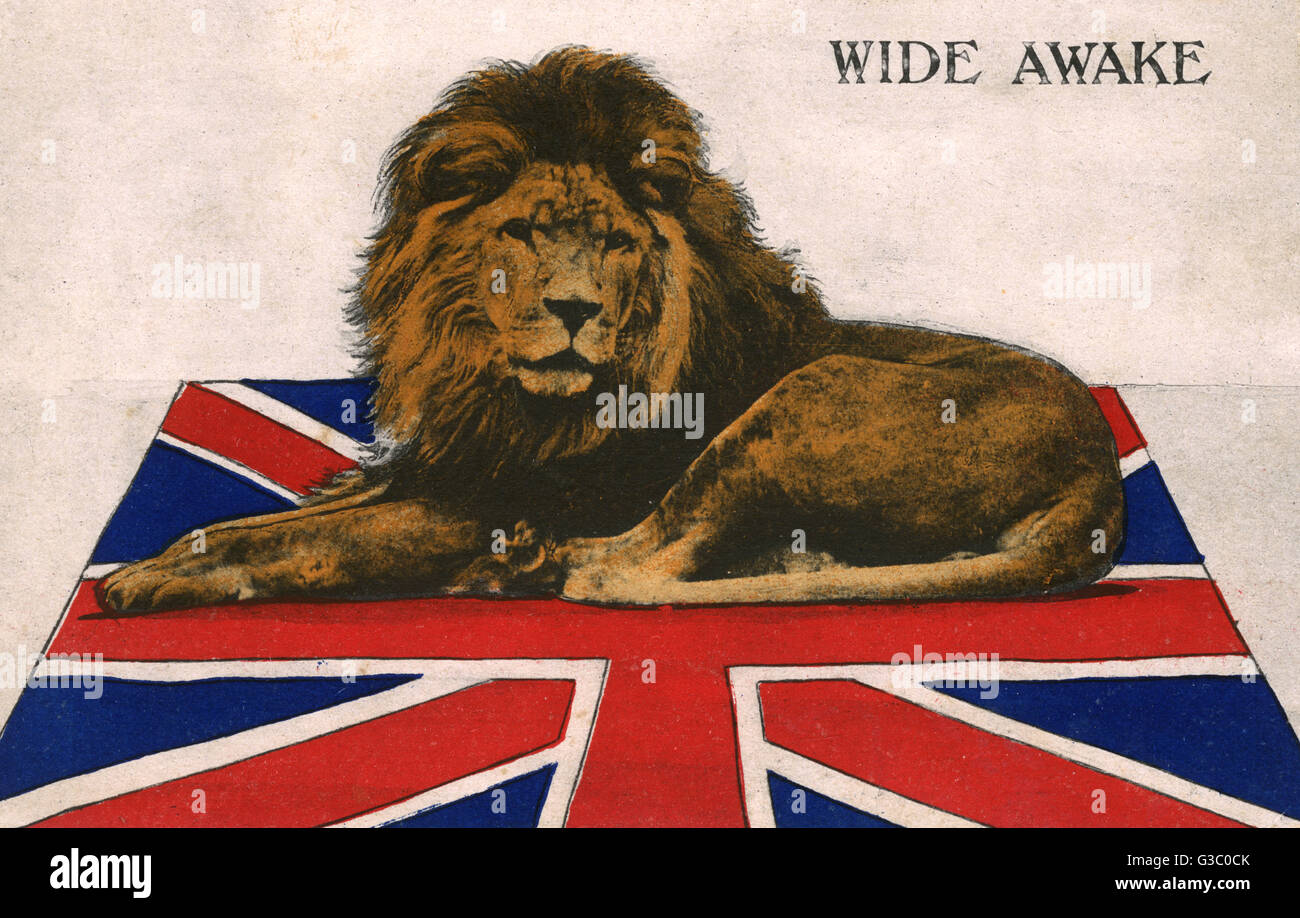 WW1 Ära Postkarte verschickt im Dezember 1914 - zu diesem Zeitpunkt der britische Löwe (saß auf einem großen Anschluß-Markierungsfahne war "hellwach" und bereit für Action.     Datum: 1914 Stockfoto
