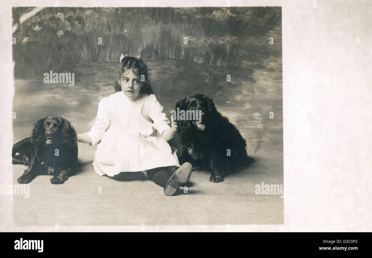 Studio-Porträt eines Mädchens und zwei Spaniel Hunde.      Datum: ca. 1920er Jahre Stockfoto