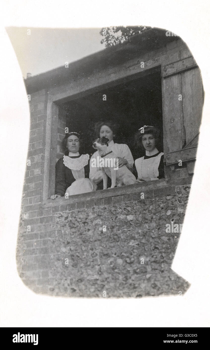 Drei Frauen mit einem Hund an einem offenen Fenster Stockfoto