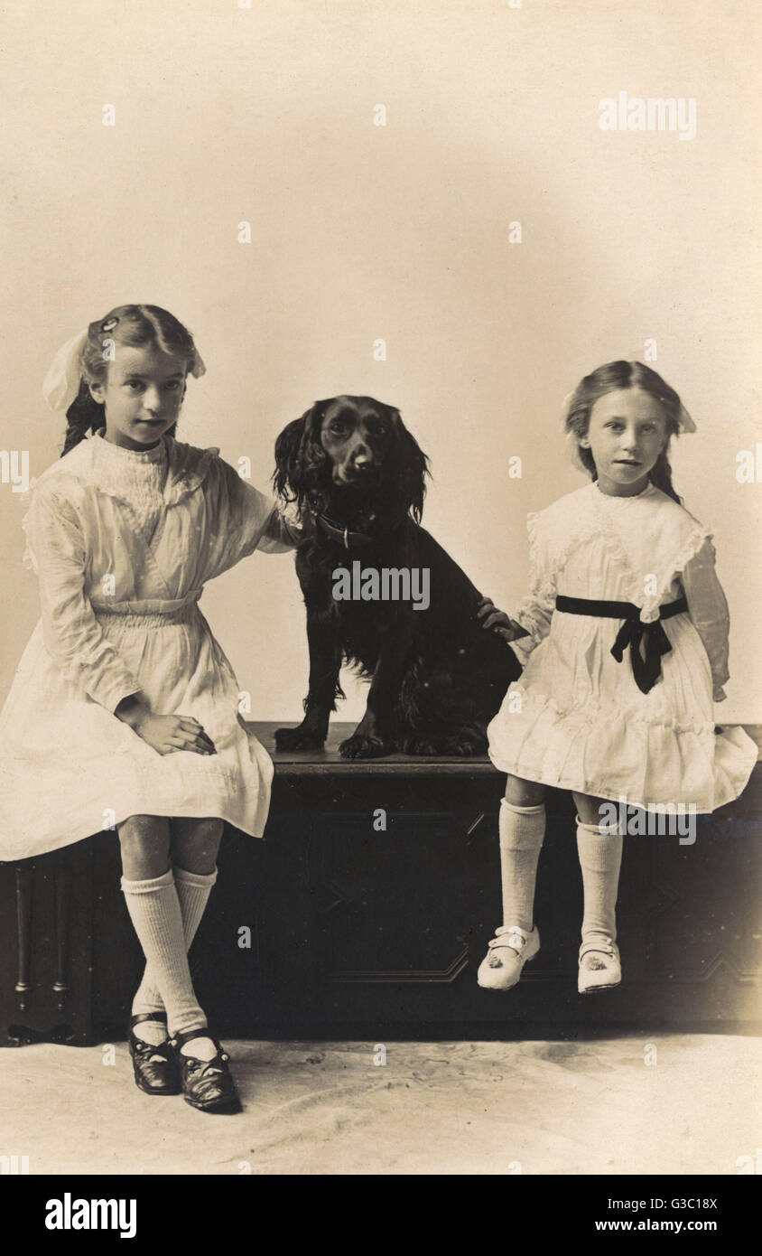 Studioporträt, zwei Mädchen mit Spaniel Stockfoto