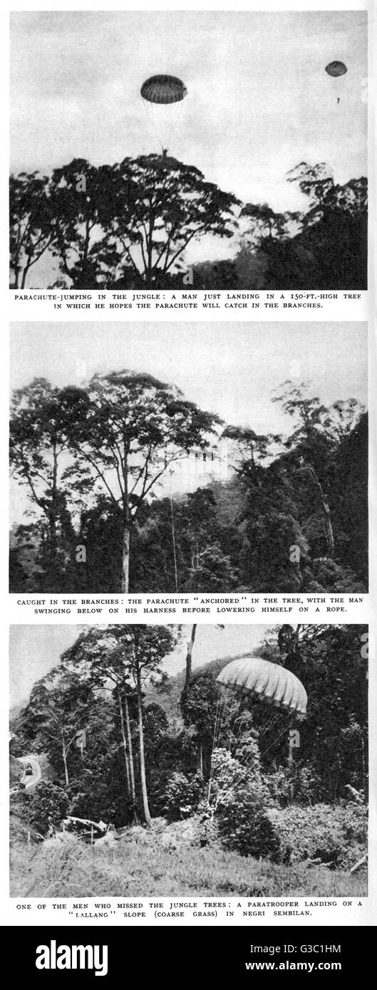 S.A.S. Fallschirmübung im Dschungel Stockfoto