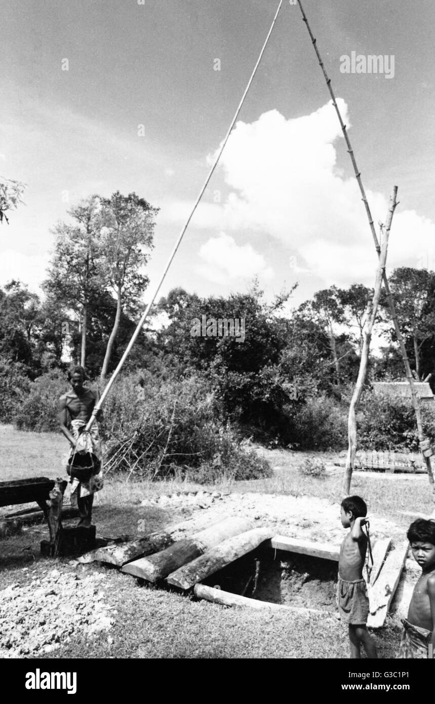 Wasser ziehen bei der Waldrodung, Angkor, Kambodscha Stockfoto