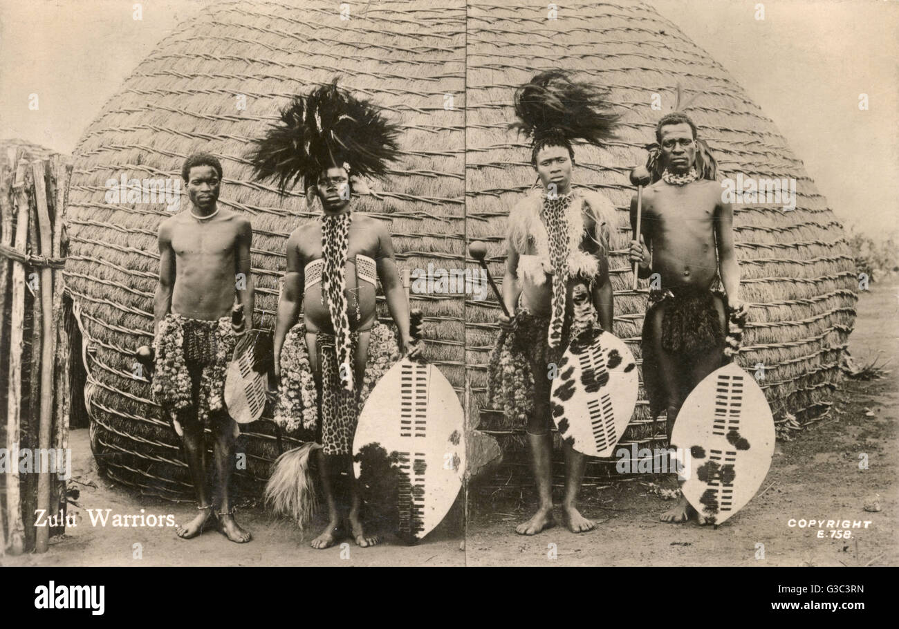 Vier Zulu-Krieger in traditionellen Kostümen Stockfoto