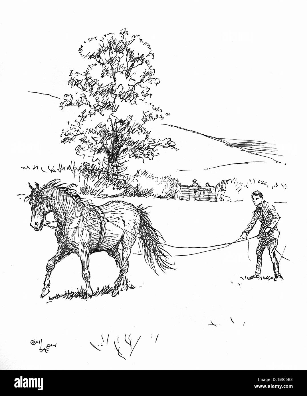 Illustration: Ein Pony auf langen Zügeln fahren Stockfoto