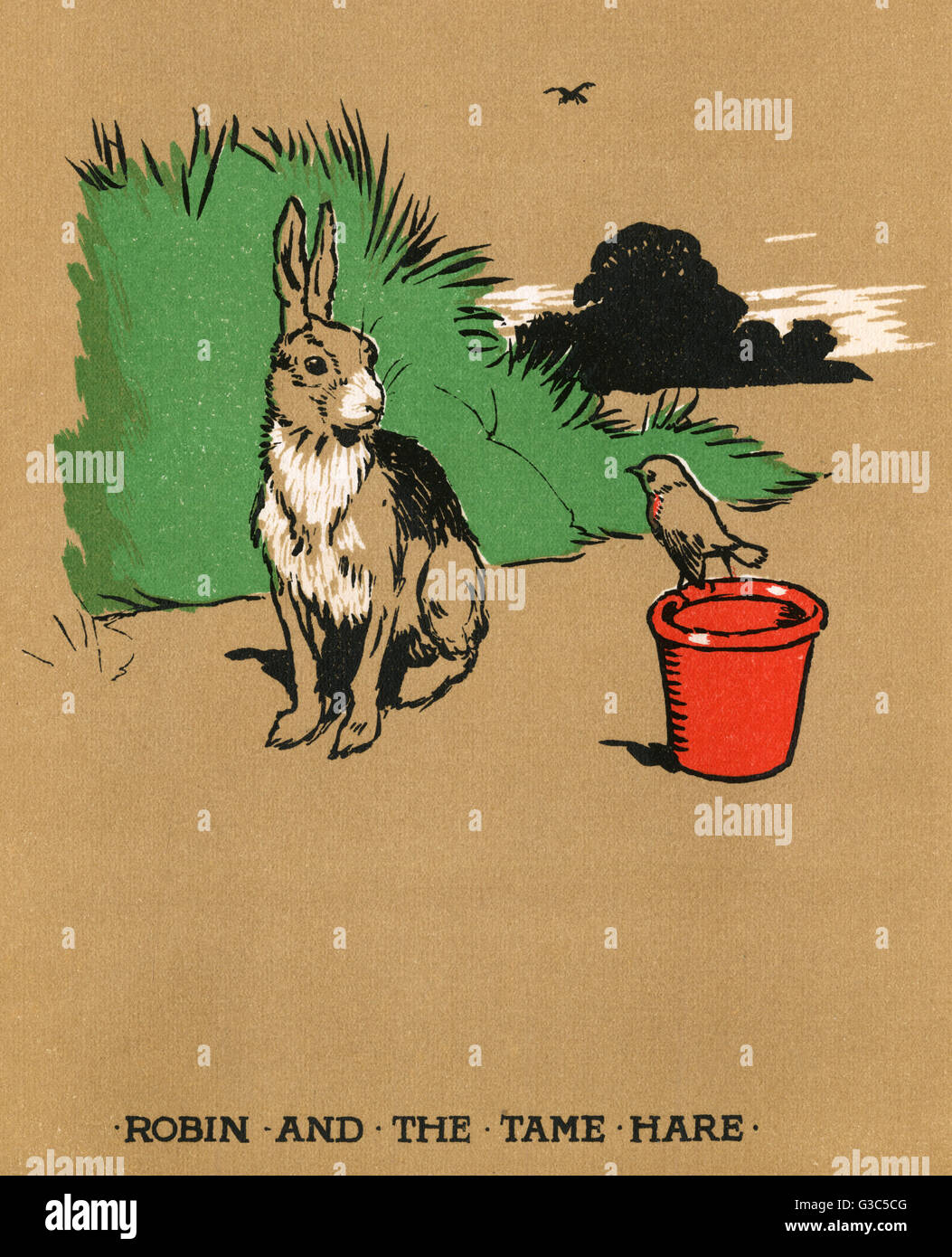Illustration, Cecil Aldins Malbücher, unsere Tiere Stockfoto