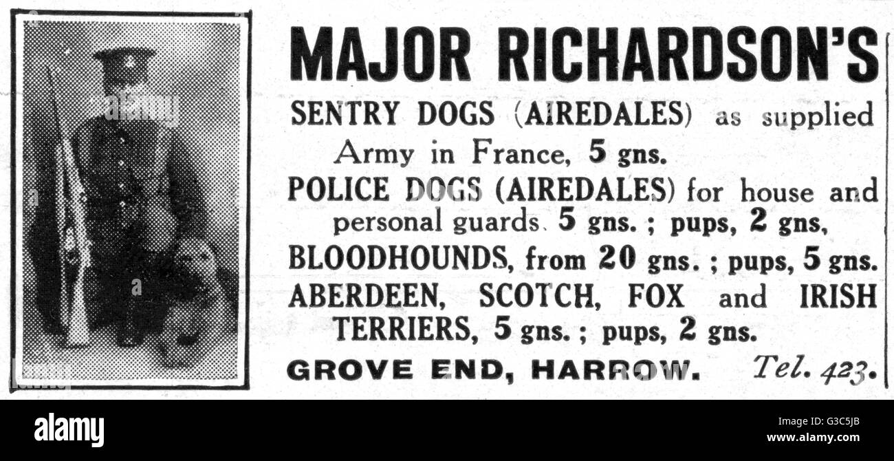 Major Richardsons Wächterhunde-Werbung Stockfoto