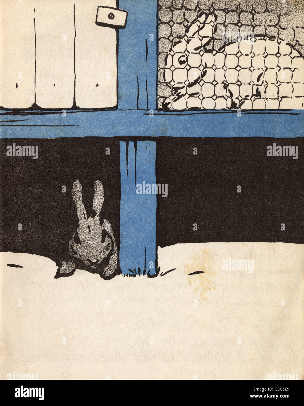 Illustration von Cecil Aldin, Weißer Hase Stockfoto
