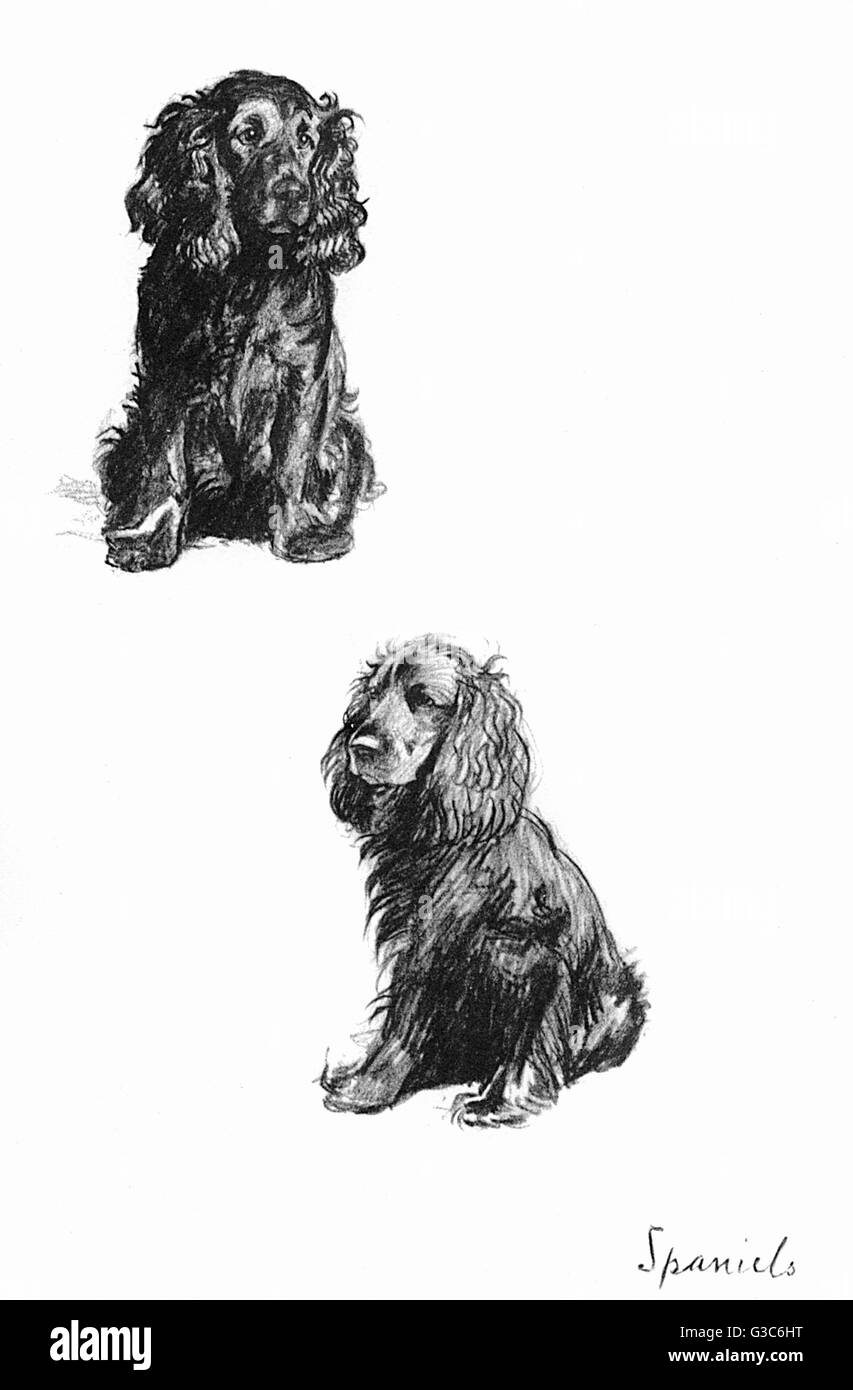 Skizzen Spaniens von Cecil Aldin Stockfoto