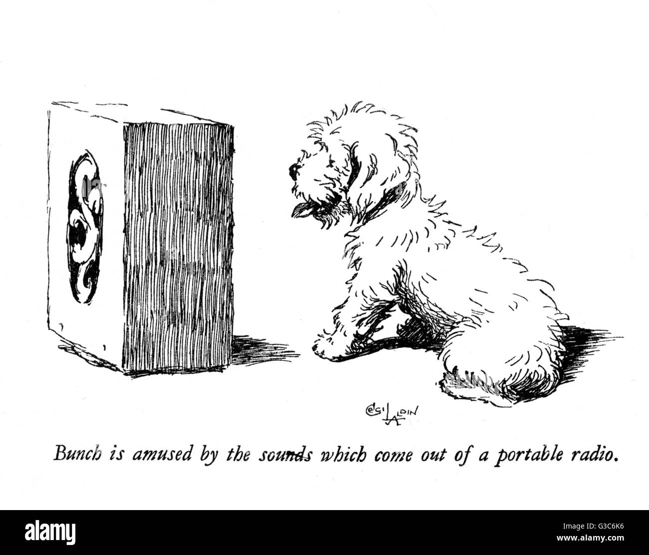 Darstellung eines Sealyham-Terrier von Cecil Aldin Stockfoto