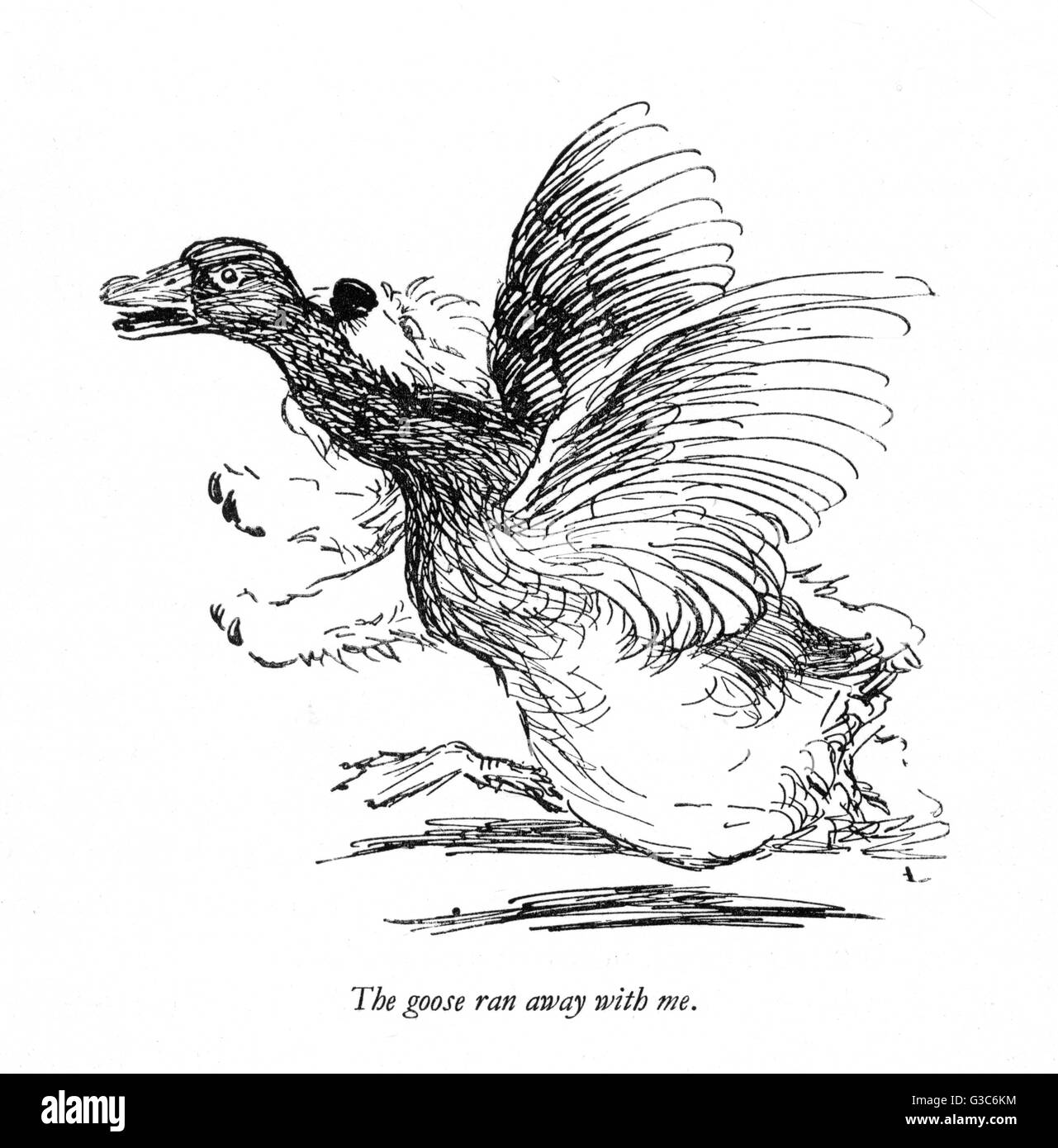 Darstellung eines Sealyham-Terrier von Cecil Aldin Stockfoto