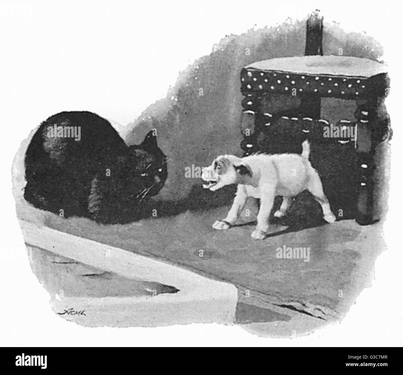 Illustration von Cecil Aldin, Spot trifft eine Katze Stockfoto