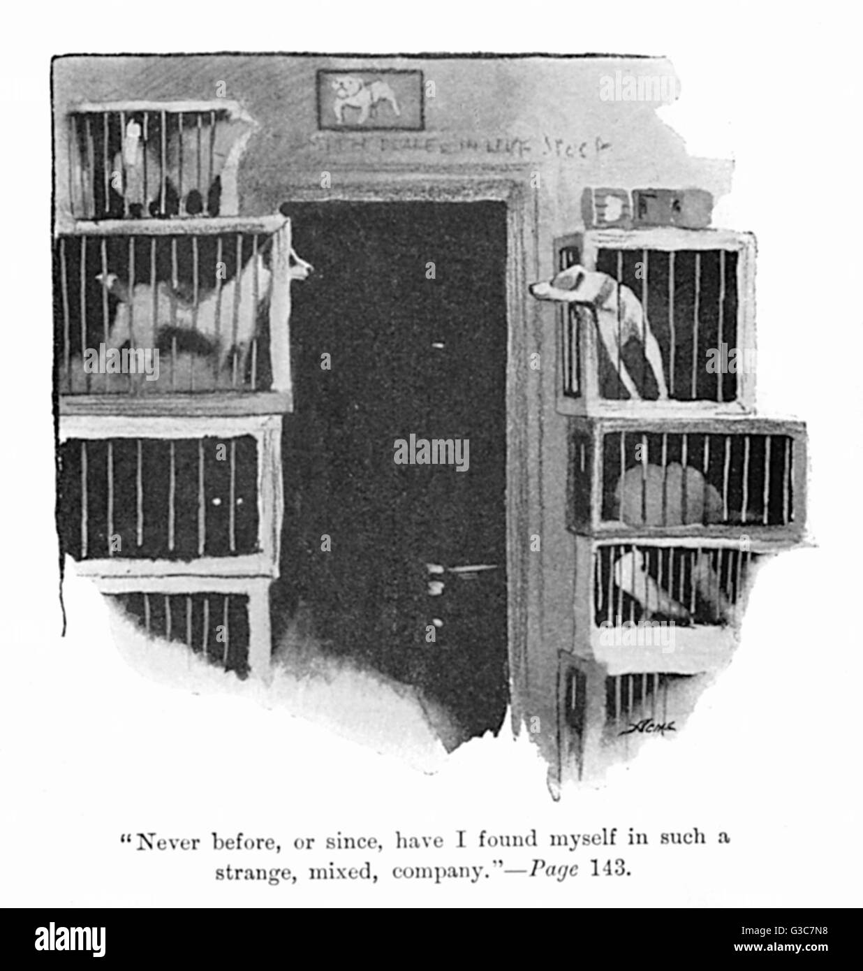 Illustration von Cecil Aldin, Spot und anderen Hunden in Käfigen Stockfoto