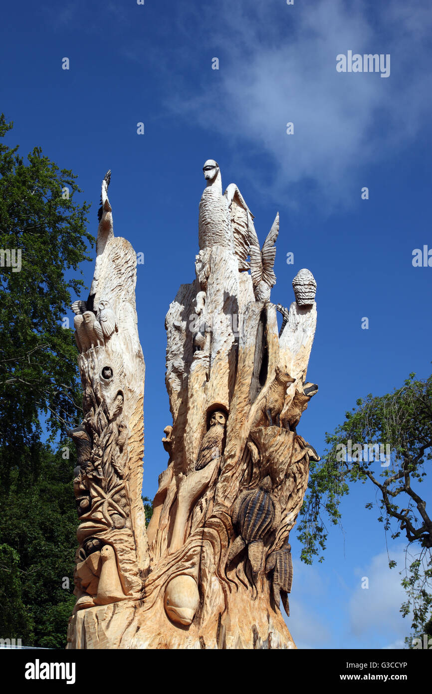 Marode Monterey-Zypresse wiedergeboren als Skulptur von Tommy Craggs in St. Annes Park, Raheny, Dublin Stockfoto