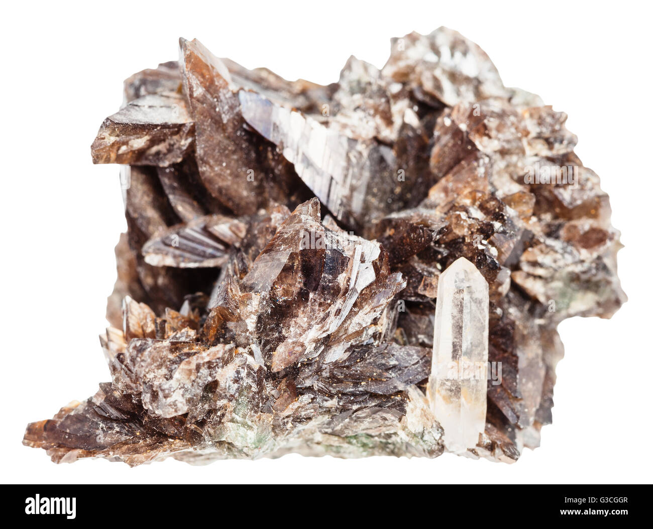 Makroaufnahmen von natürlichen Mineral - Axinite (Axinite-(Fe), Ferroaxinite) Kristalle und ein Quarzkristall in Druse isoliert auf wh Stockfoto