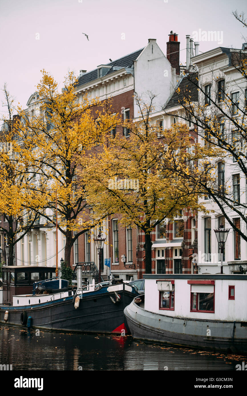 Blick auf Amsterdam Canal und Häuser, Stockfoto