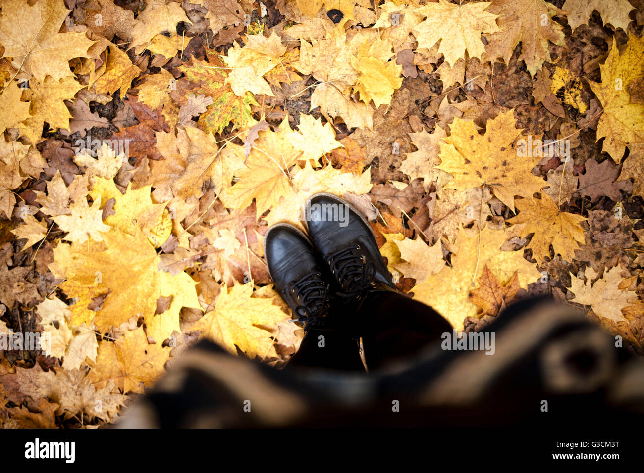 Blick auf Schuhe von oben nach unten, Laub auf dem Boden Stockfoto