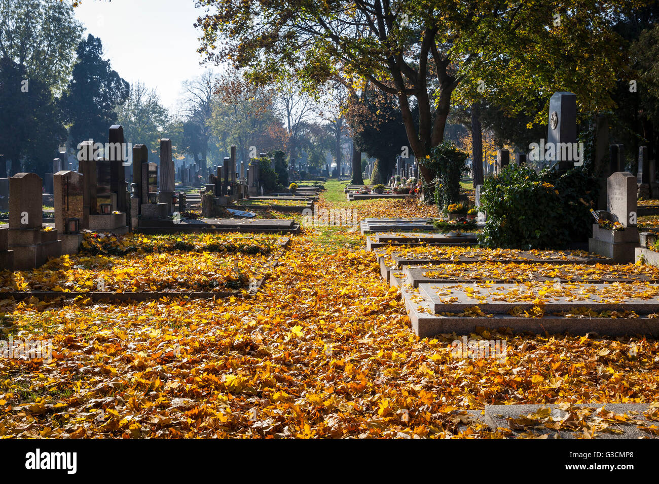 Herbst auf der Vienna-Zentralfriedhof, Simmering, Wien, Austria, Europe Stockfoto