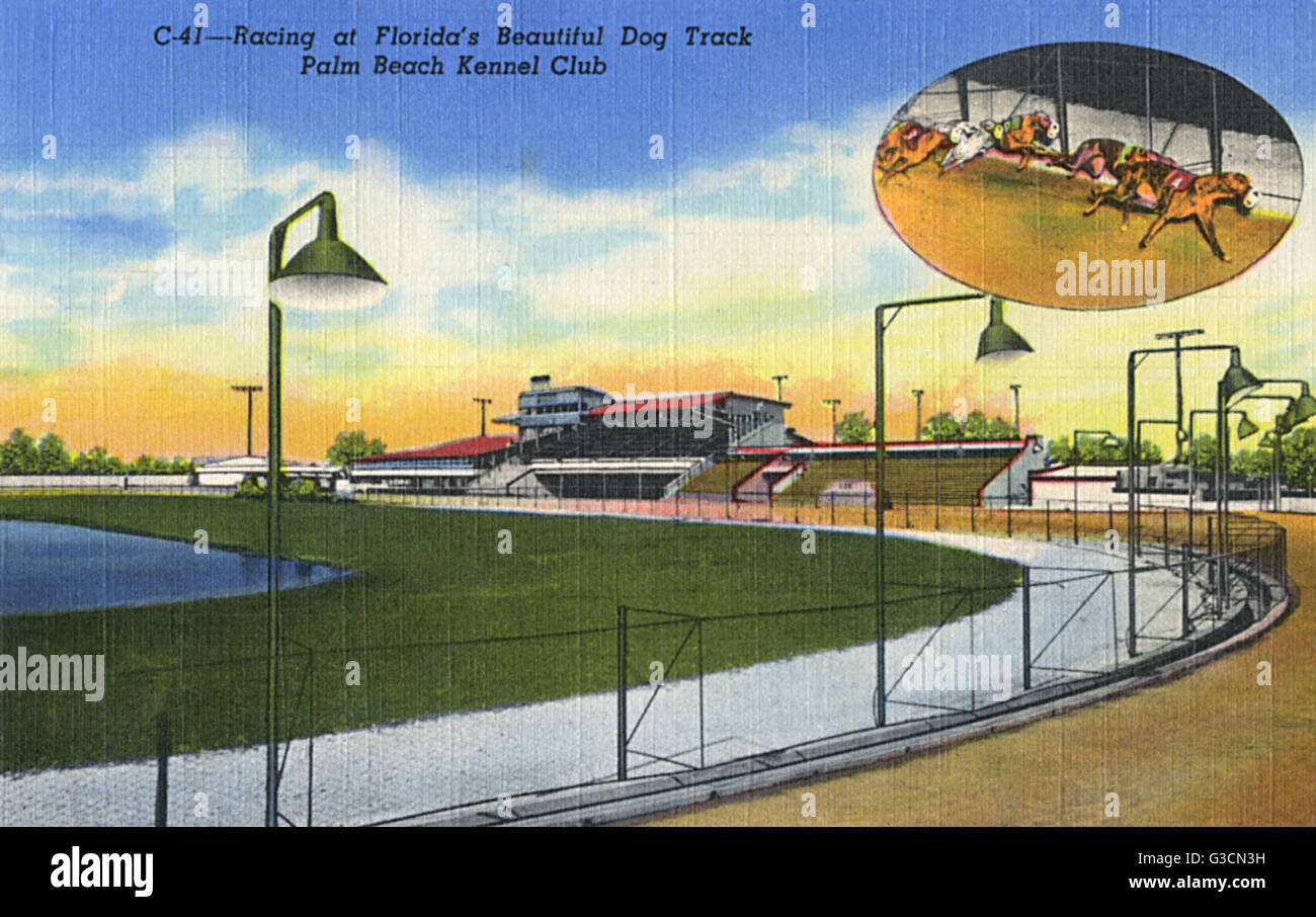 Palm Beach Kennel Club, Miami, Florida, USA Stockfoto