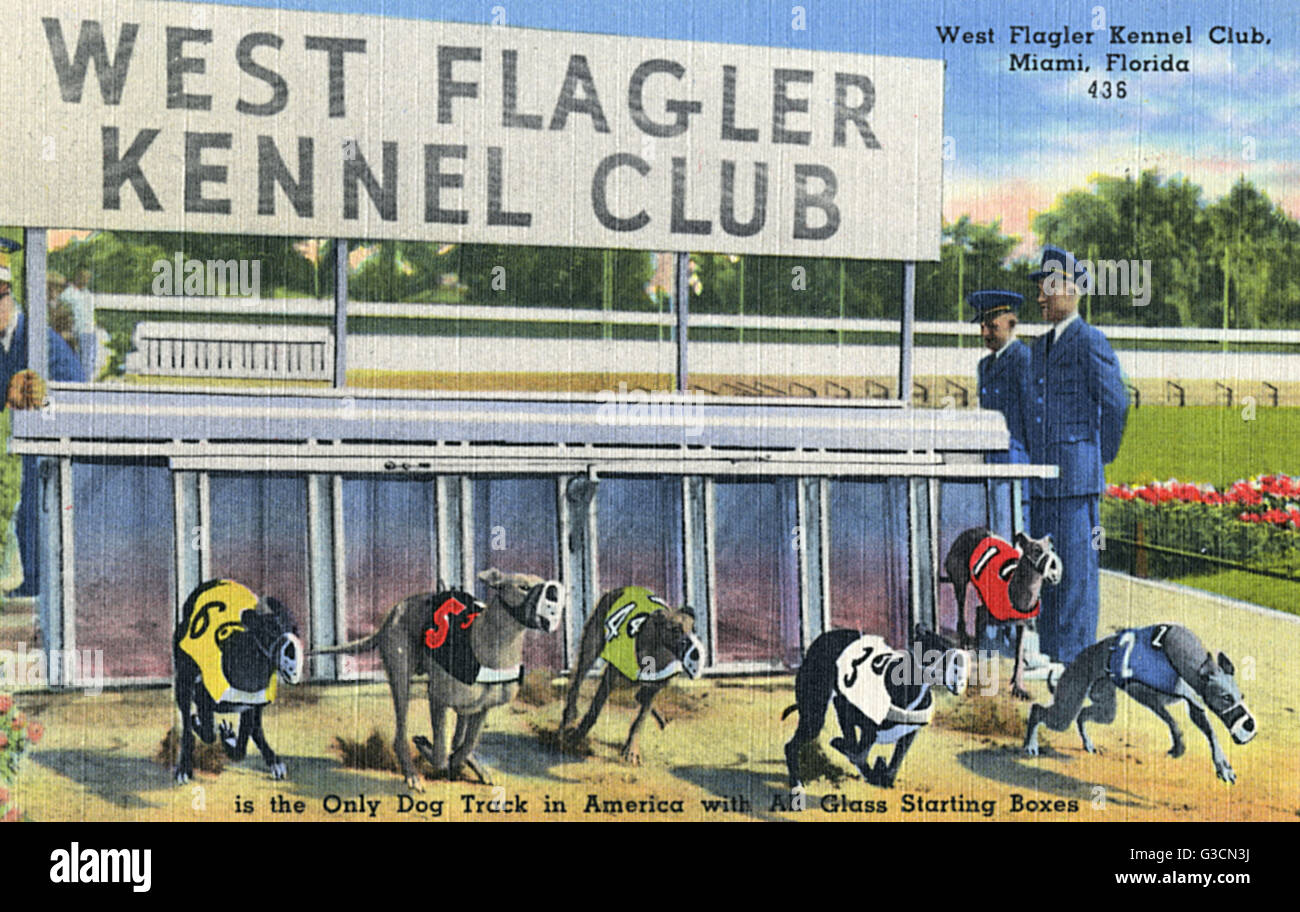 West Flagler Kennel Club, Miami, Florida, USA Stockfoto