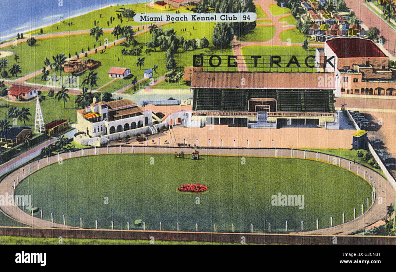 Miami Beach Kennel Club, Miami, Florida, USA Stockfoto