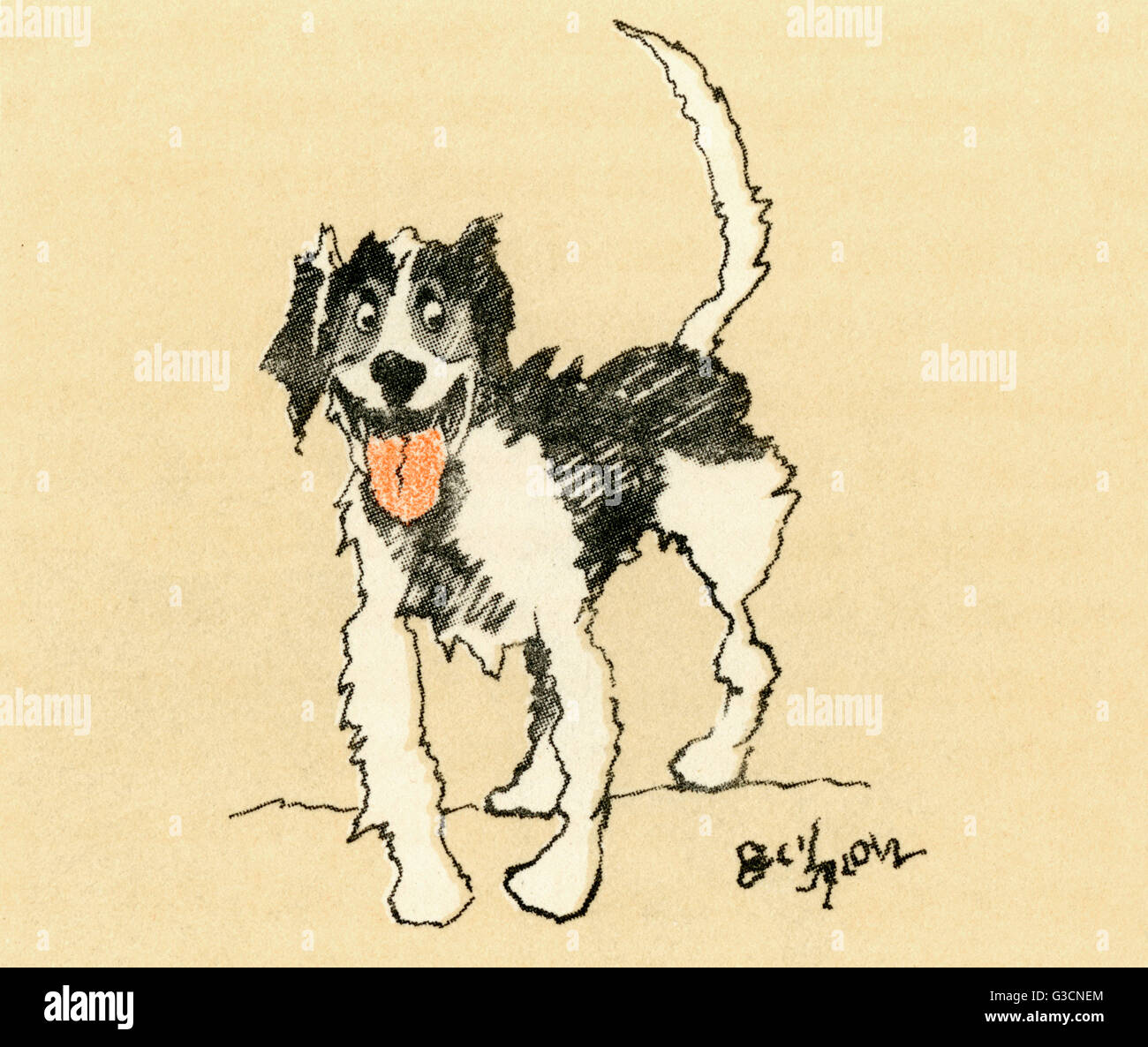 Illustration von Cecil Aldin, französischer Hund Stockfoto