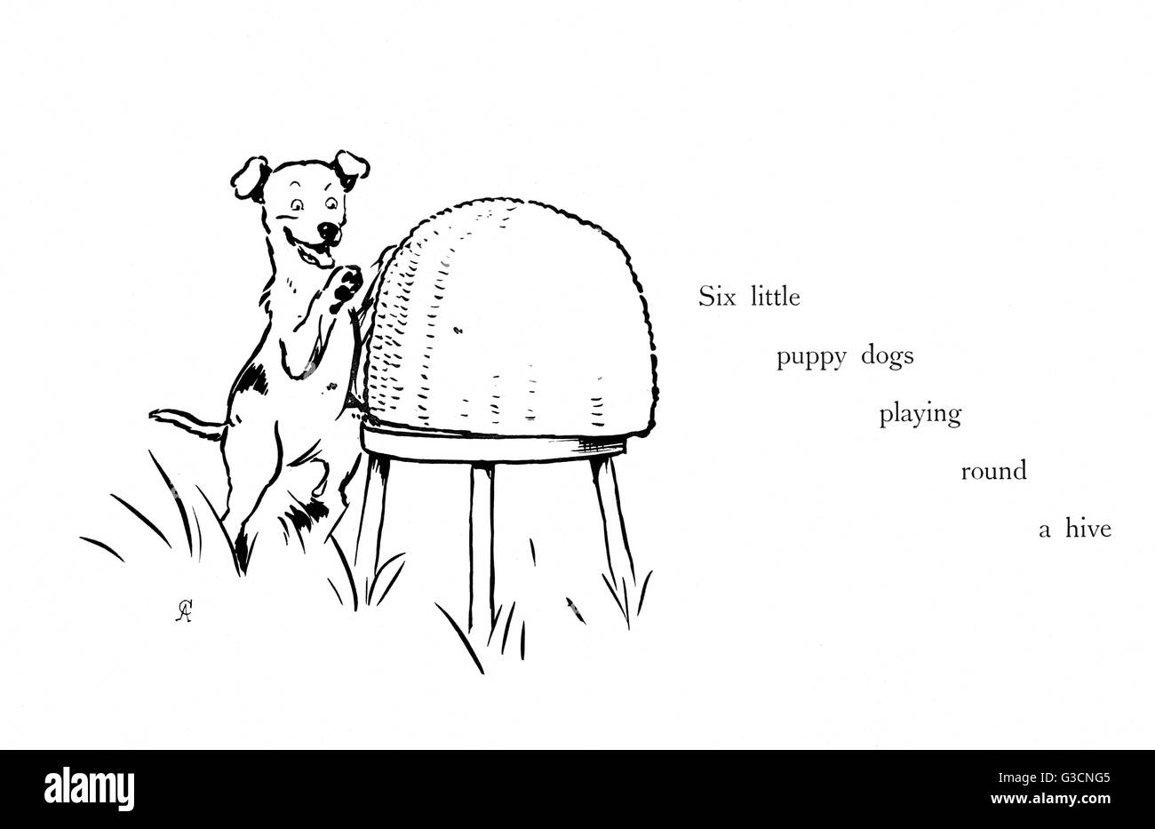 Illustration von Cecil Aldin, zehn kleine Hunde Stockfoto