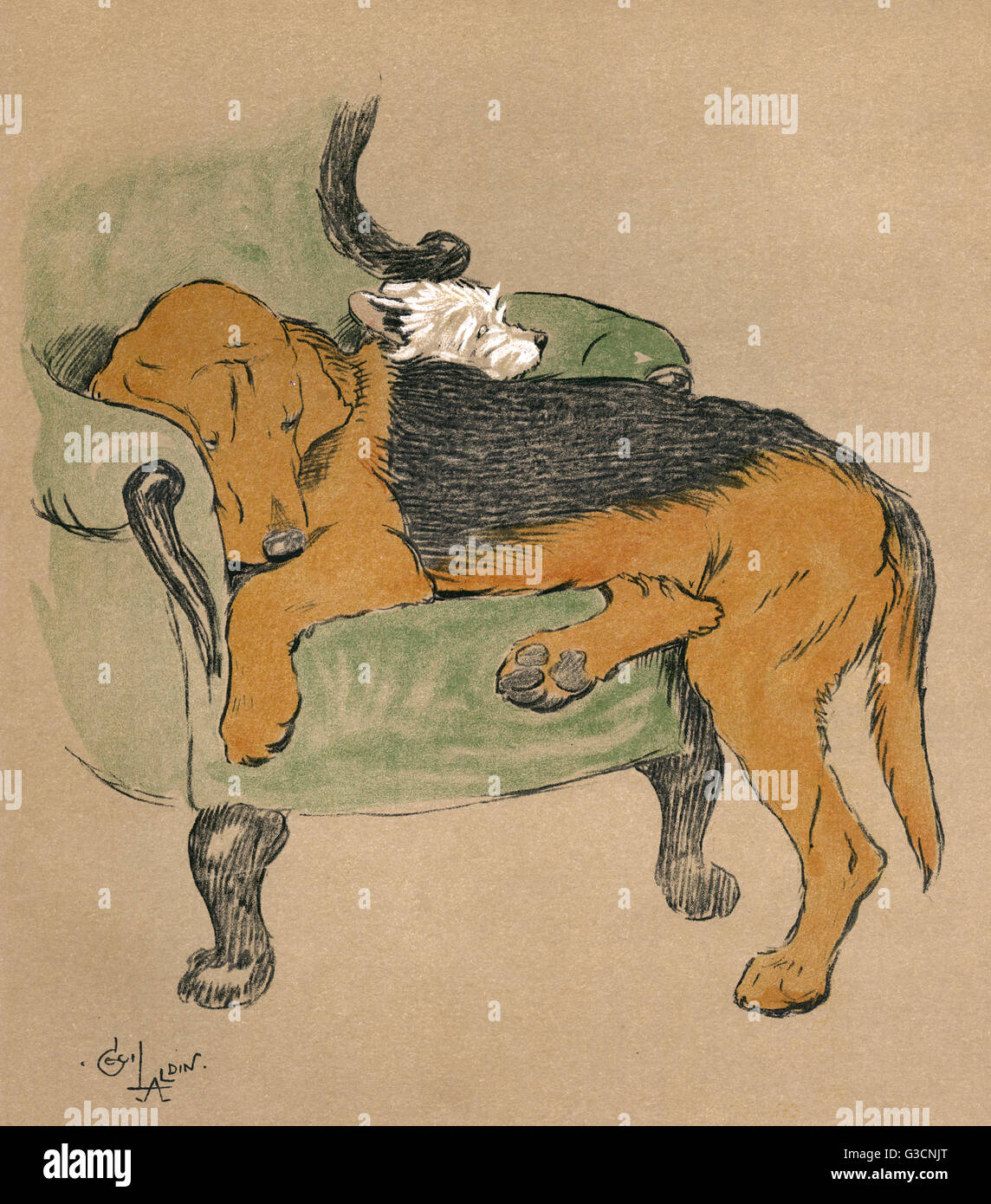 Illustration von Cecil Aldin.  Mac, friedlich schlafend in einem Sessel sitzt auf durch ein Bloodhound Welpe und Befürchtungen, die er erstickt werden wird.      Datum: 1912 Stockfoto