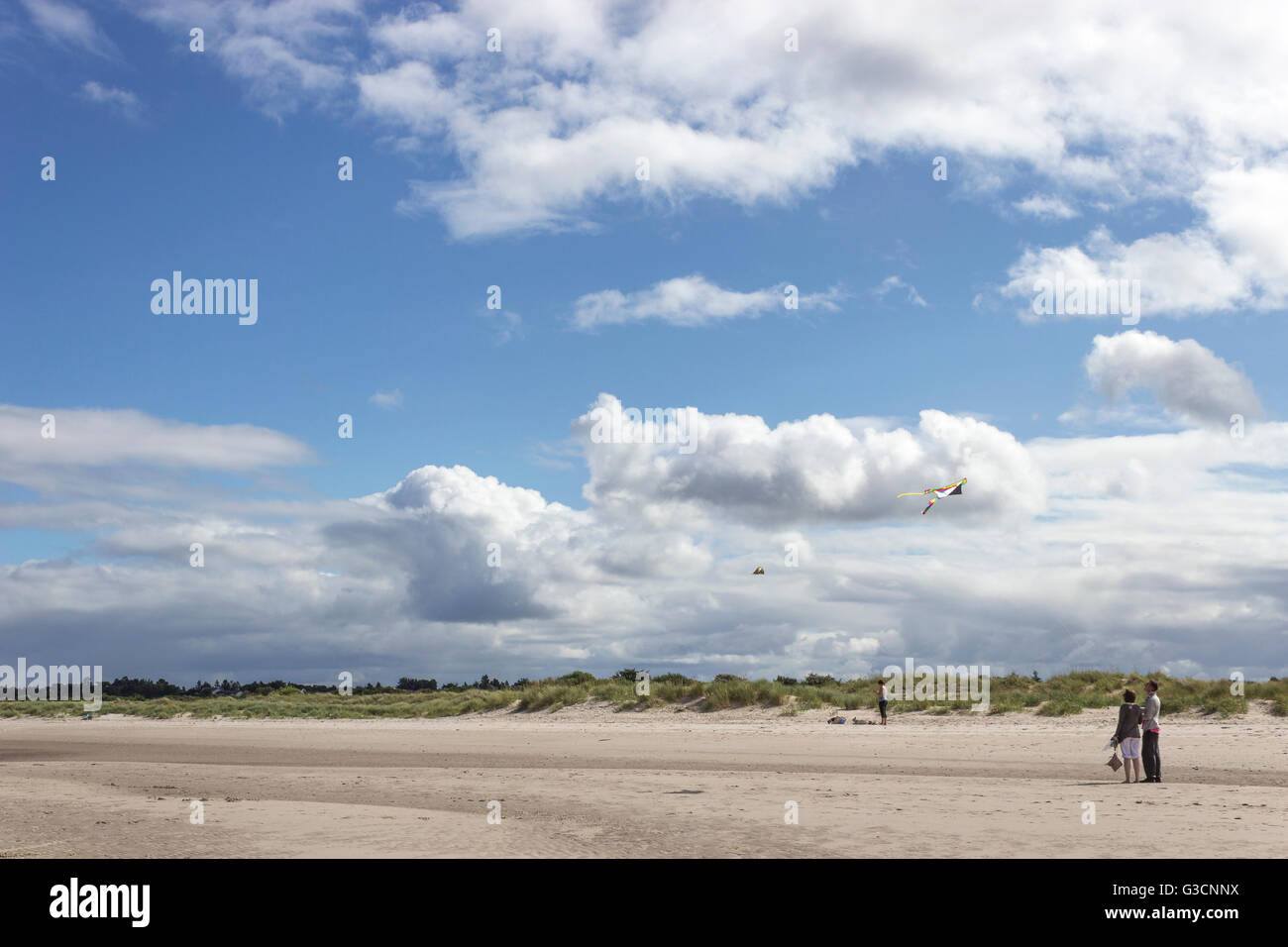 Schottland, Highlands, Nairn, Menschen, die am Strand spazieren, Abdrücke im Sand, Grasgebiet, schottische Landschaft, Strand, blauer Himmel, Fliegende Drachen Stockfoto