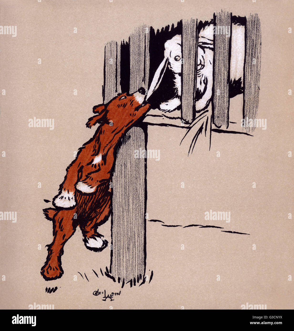 Illustration von Cecil Aldin, dem roten Hundebuch Stockfoto