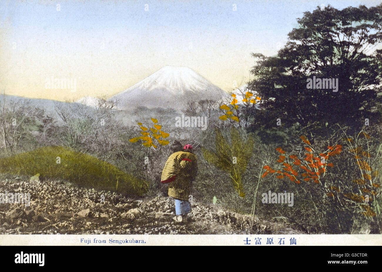 Berg Fuji, Japan - aus Sengokubara Stockfoto