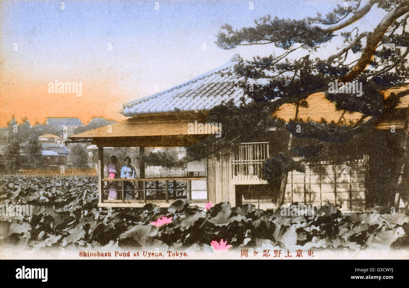 Der ShinobazuTeich im Ueno Park, Tokyo, Japan eine historisch