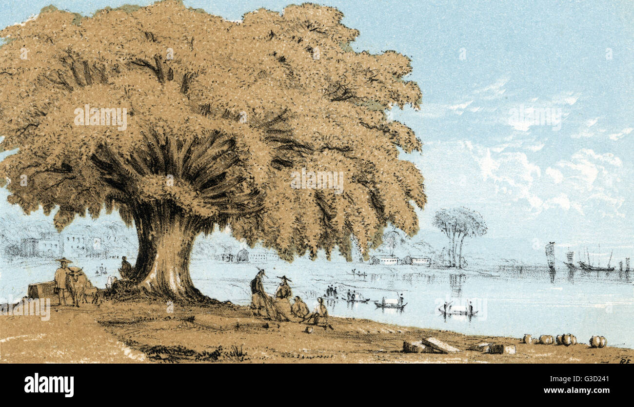 Singapur, ca. 1850er Stockfoto